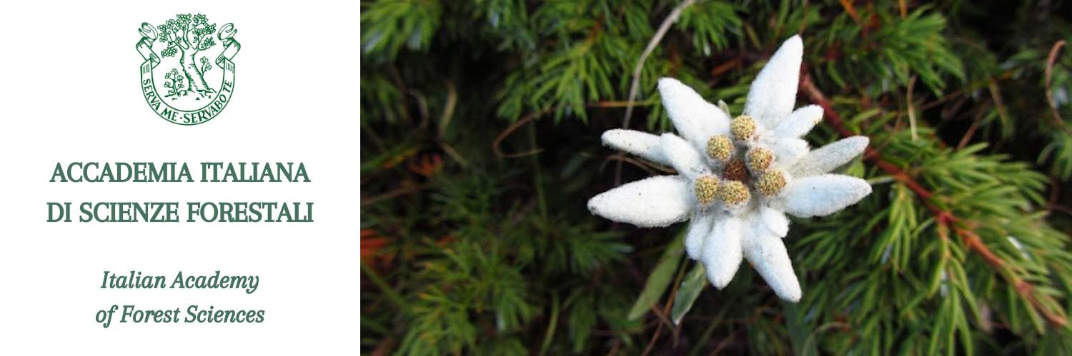 ACCADEMIA ITALIANA DI SCIENZE FORESTALI Italian Academy of Forest Sciences