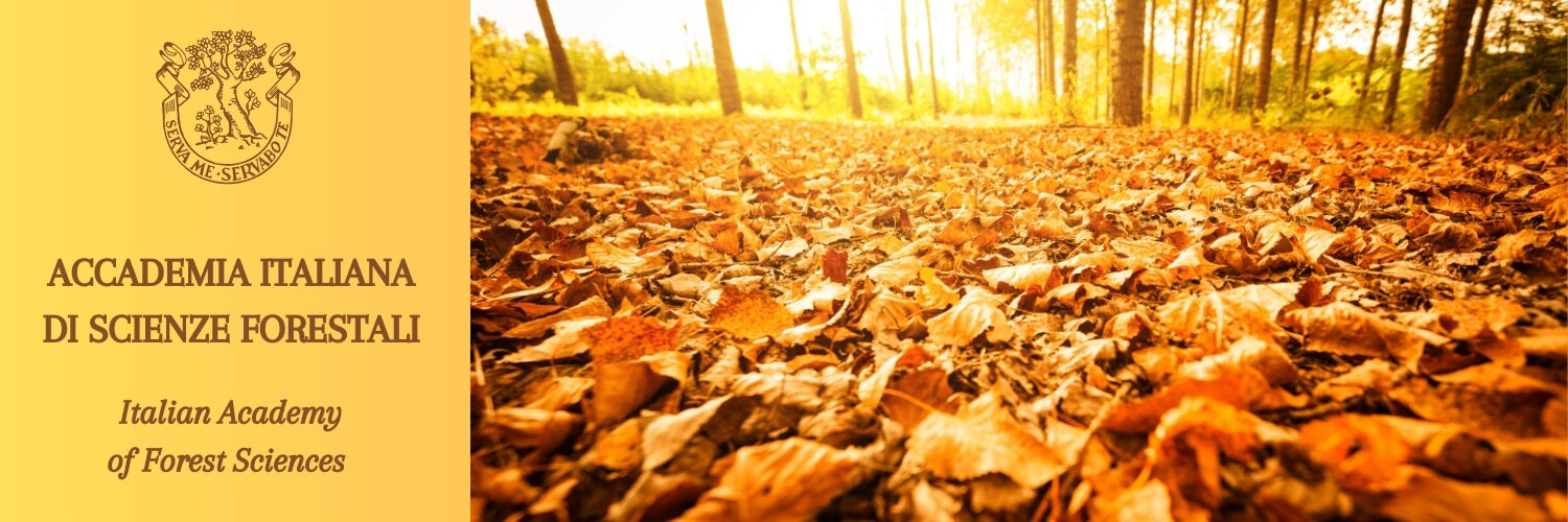 ACCADEMIA ITALIANA DI SCIENZE FORESTALI Italian Academy of Forest Sciences