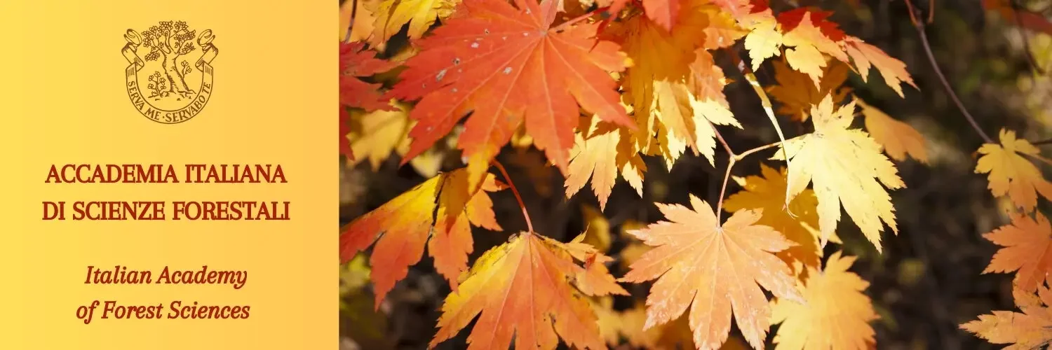 ACCADEMIA ITALIANA DI SCIENZE FORESTALI Italian Academy of Forest Sciences