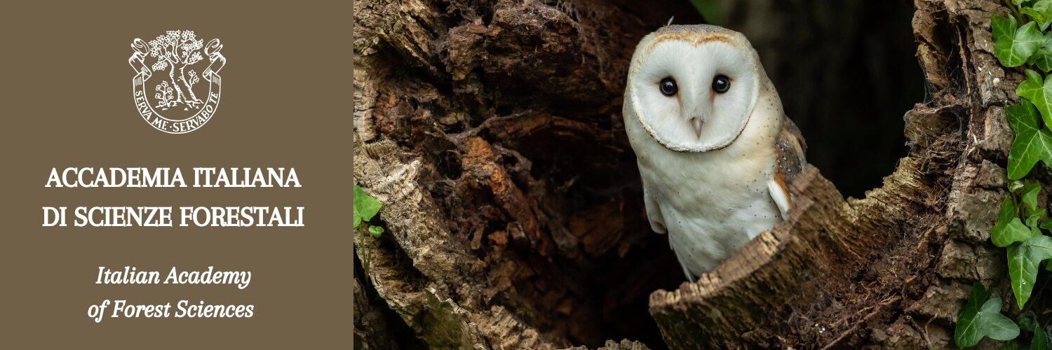 ACCADEMIA ITALIANA DI SCIENZE FORESTALI Italian Academy of Forest Sciences