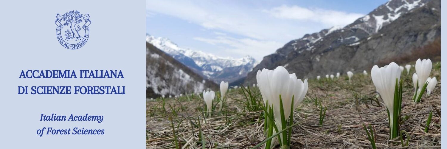 ACCADEMIA ITALIANA DI SCIENZE FORESTALI Italian Academy of Forest Sciences