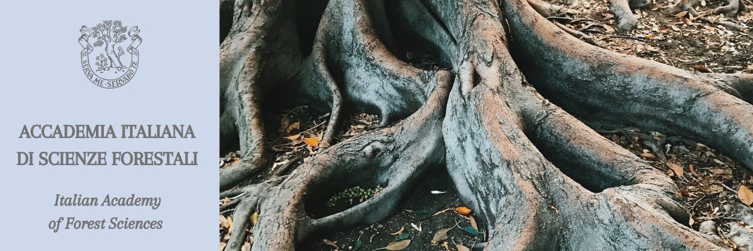 ACCADEMIA ITALIANA DI SCIENZE FORESTALI Italian Academy of Forest Sciences